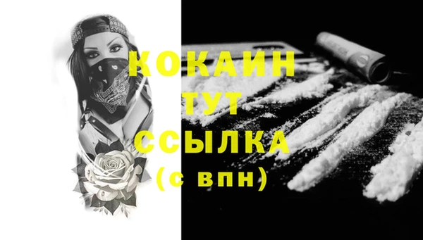 крисы Вязники