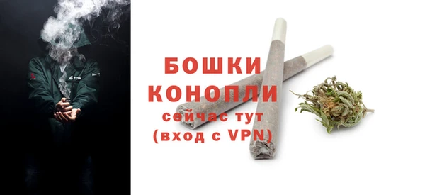 спиды Волосово