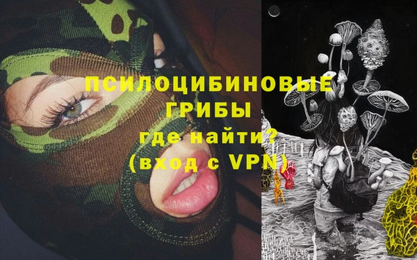 крисы Вязники