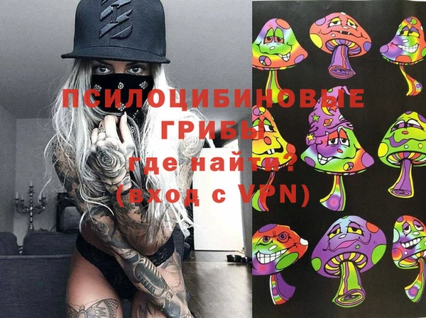 спиды Волосово